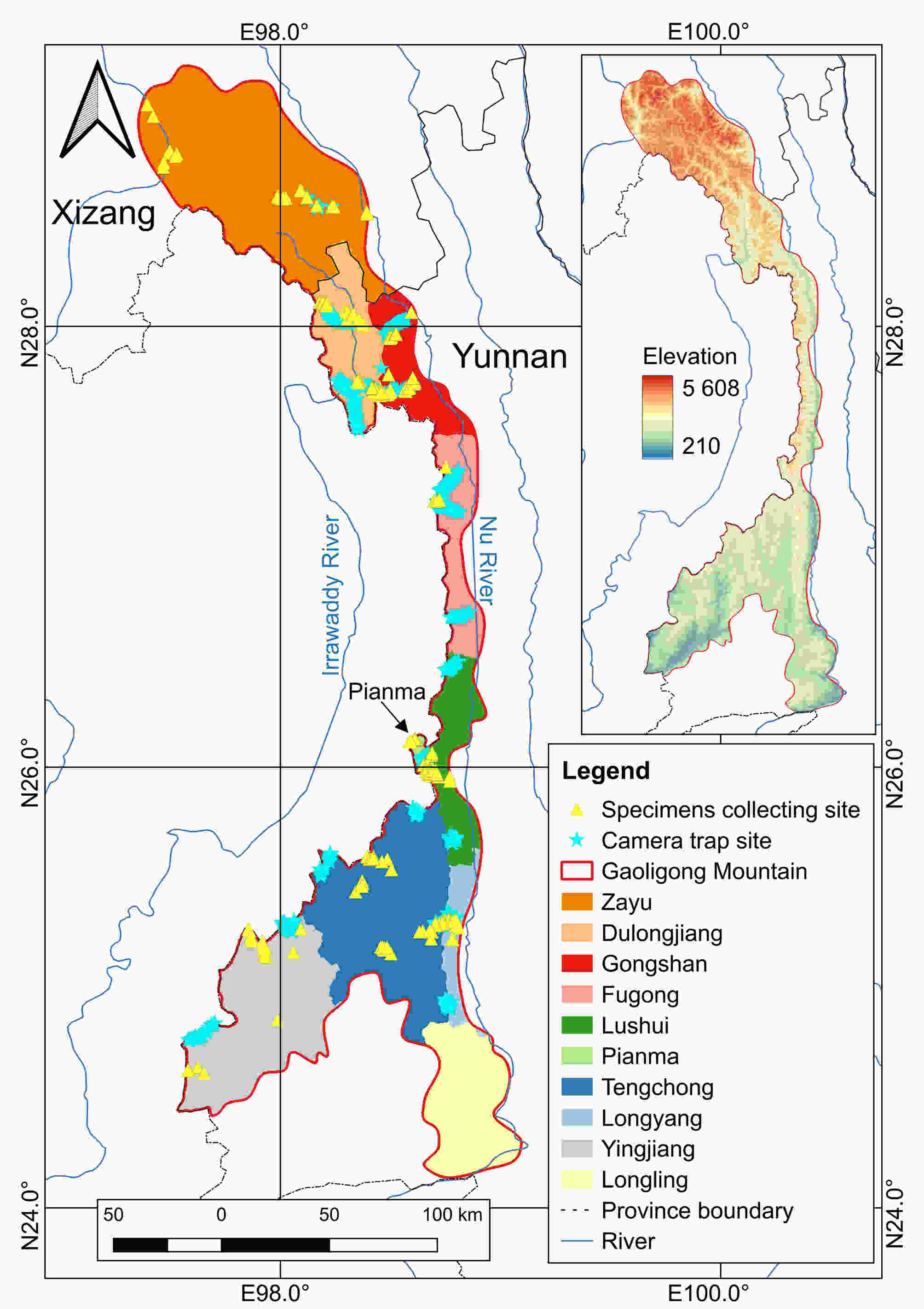 Xvon Image Bing Mammals Of Gaoligong Mountain In China: Diversity,